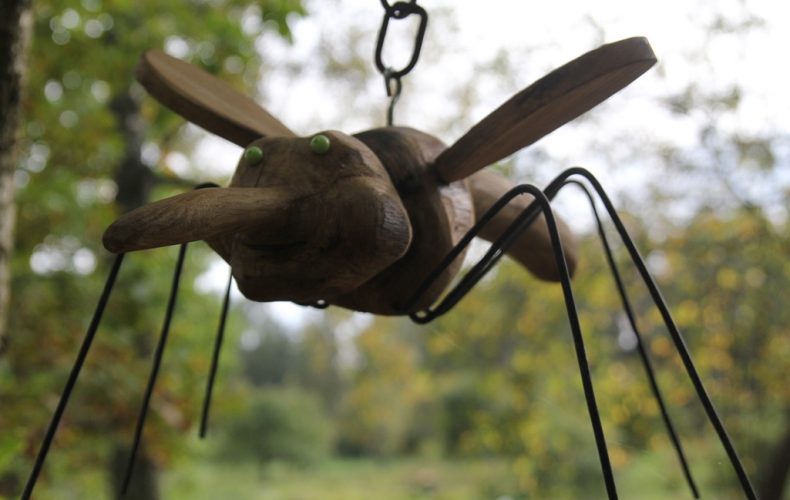 Zirgu-sēta-Klajumi1