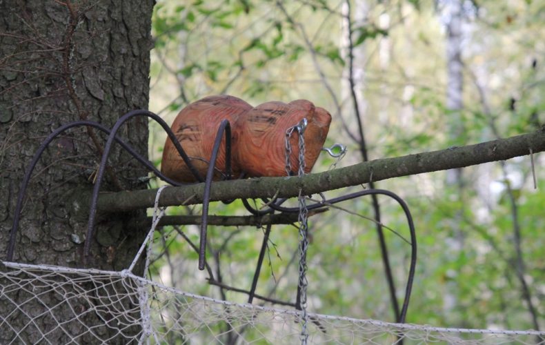 Zirgu-sēta-Klajumi2