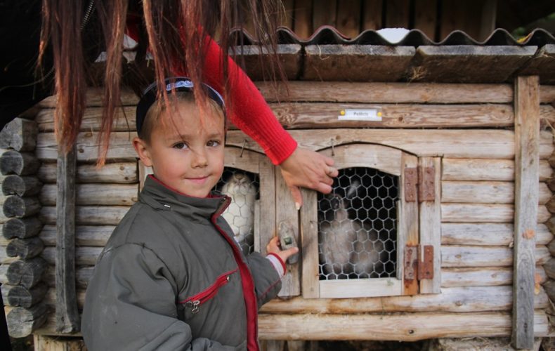 Zirgu-sēta-Klajumi3