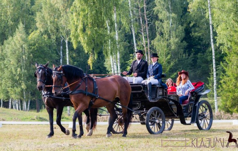 Zirgu-sēta-Klajumi6