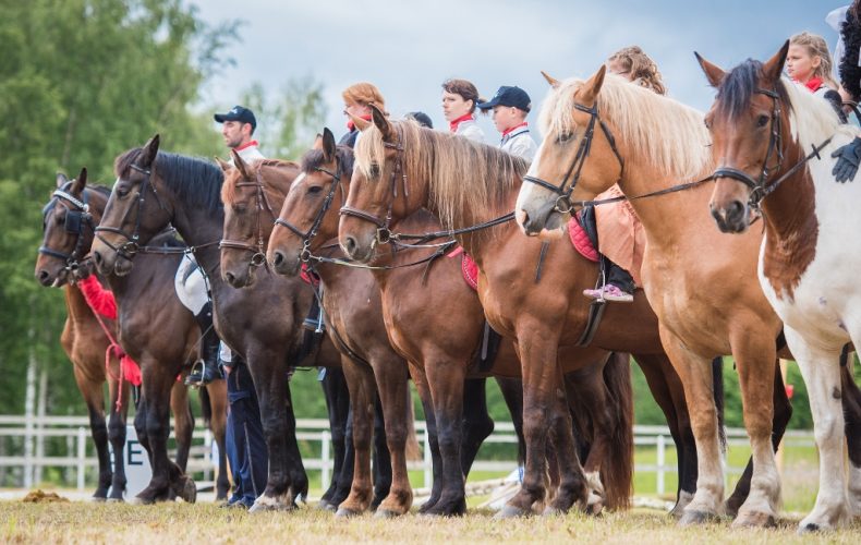 Zirgu-sēta-Klajumi9