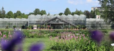 Nacionālais botāniskais dārzs