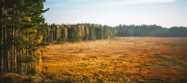 Čepkeļu purva izziņas taka