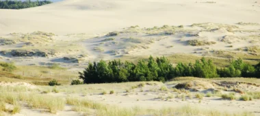 Nagļu dabas rezervāts Neringā