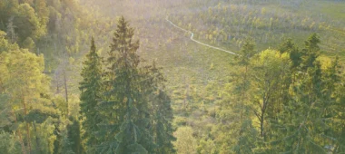 Dubravas izziņas taka