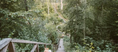 Jurkišķu strauta izziņas taka