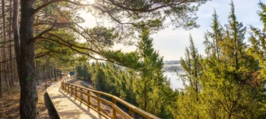 Kadiķu ielejas taka