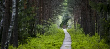 Varniku izziņas taka