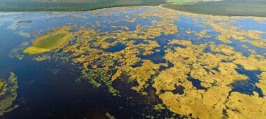Žuvintas ezera dabas taka