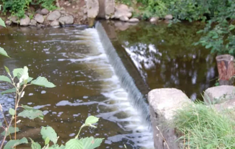 111-nakotnes-dabas-taka-002