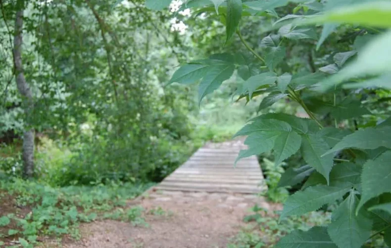 111-nakotnes-dabas-taka-005