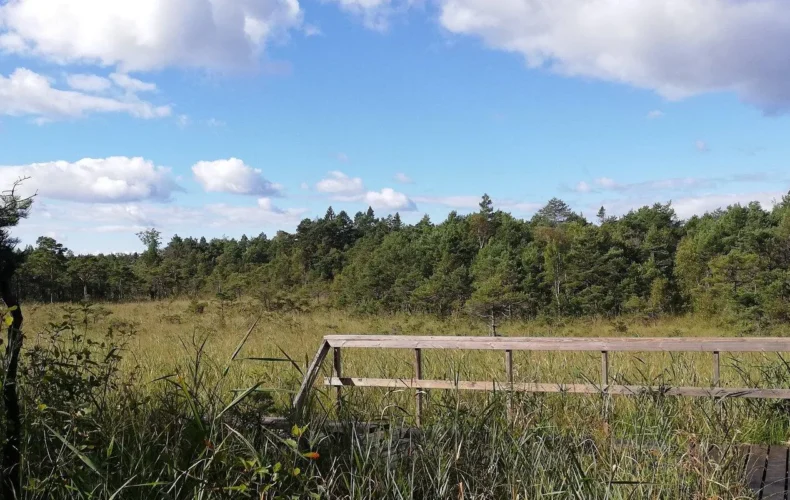 allikasoo-macibu-taka-009