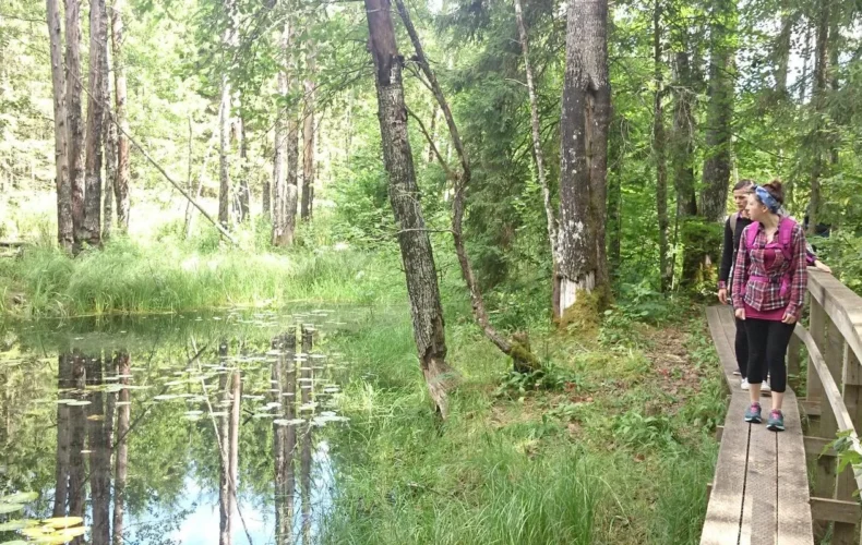 bebru-taka-soma-nacionalaja-parka-001