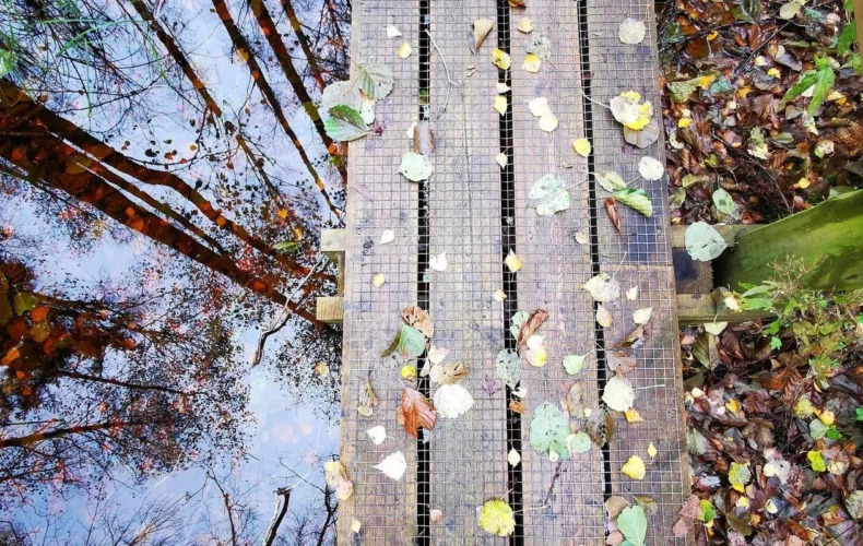 bebru-taka-soma-nacionalaja-parka-002