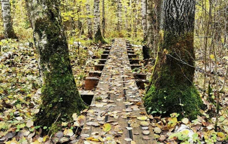 bebru-taka-soma-nacionalaja-parka-003