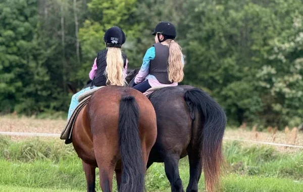 izjades-ar-zirgiem-pakavs-008