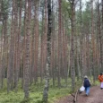 skolēnu ekskursija Gaujas Nacionālajā parkā
