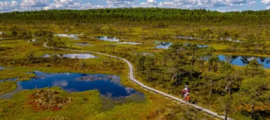 Kakerdajas purva pārgājienu taka