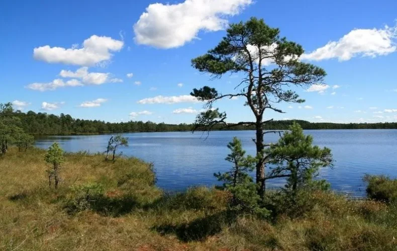 kakerdajas-purva-p-c4-81rg-c4-81jienu-taka-2-3-001