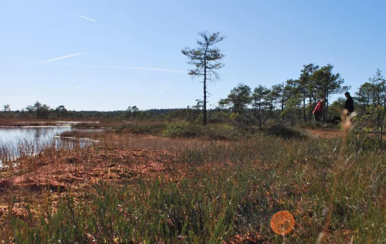 kakerdajas-purva-p-c4-81rg-c4-81jienu-taka-2-3-002