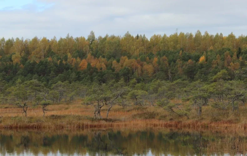 kakerdajas-purva-p-c4-81rg-c4-81jienu-taka-2-3-004