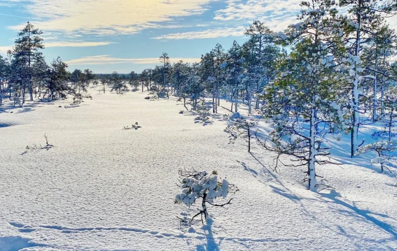 kakerdajas-purva-p-c4-81rg-c4-81jienu-taka-2-3-005