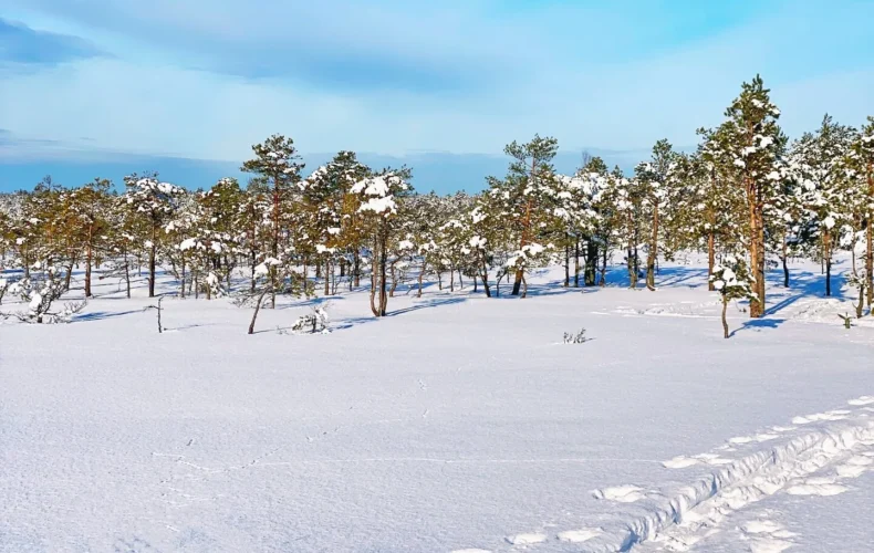 kakerdajas-purva-p-c4-81rg-c4-81jienu-taka-2-3-006