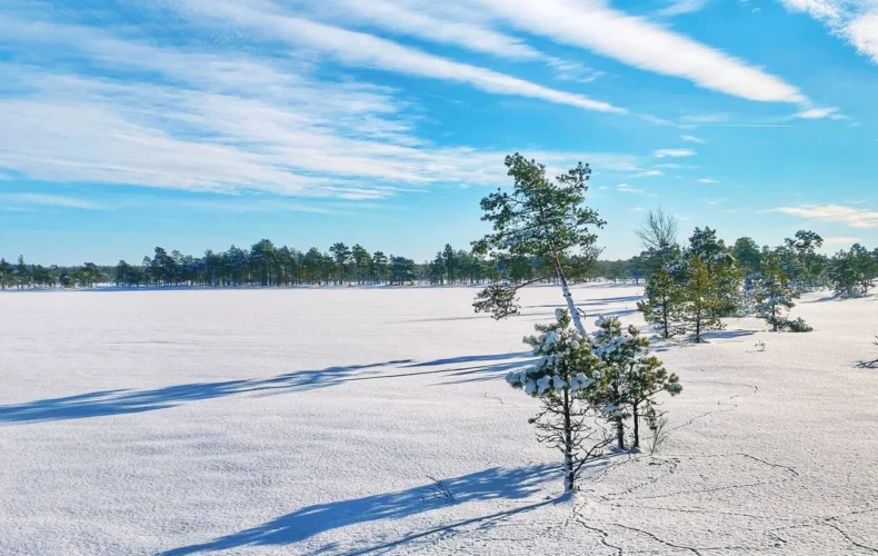 kakerdajas-purva-p-c4-81rg-c4-81jienu-taka-2-3-007