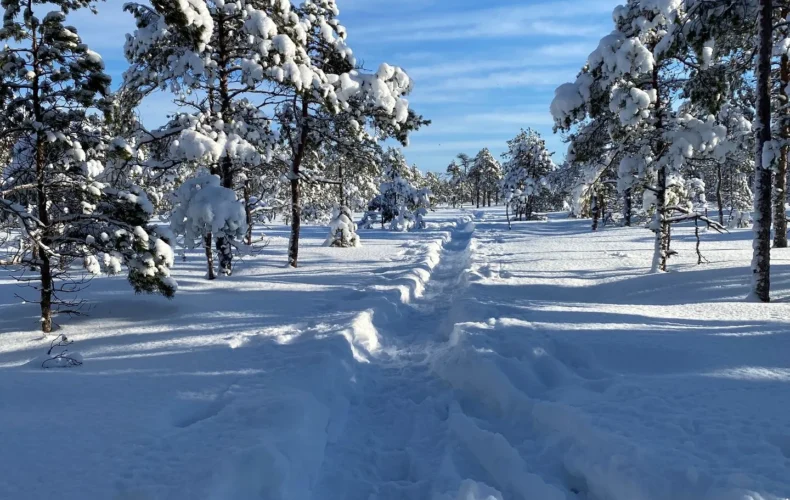 kakerdajas-purva-p-c4-81rg-c4-81jienu-taka-2-3-008