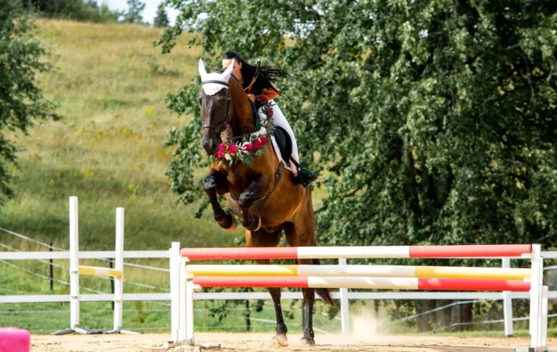 mini-zoo-ekskursija-zirgi-izjades-015