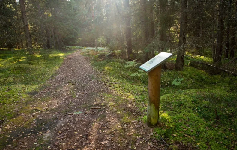 paukjerves-ezera-dabas-taka-un-telsu-vieta-001