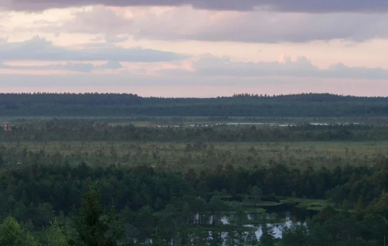 paukjerves-ezera-dabas-taka-un-telsu-vieta-002