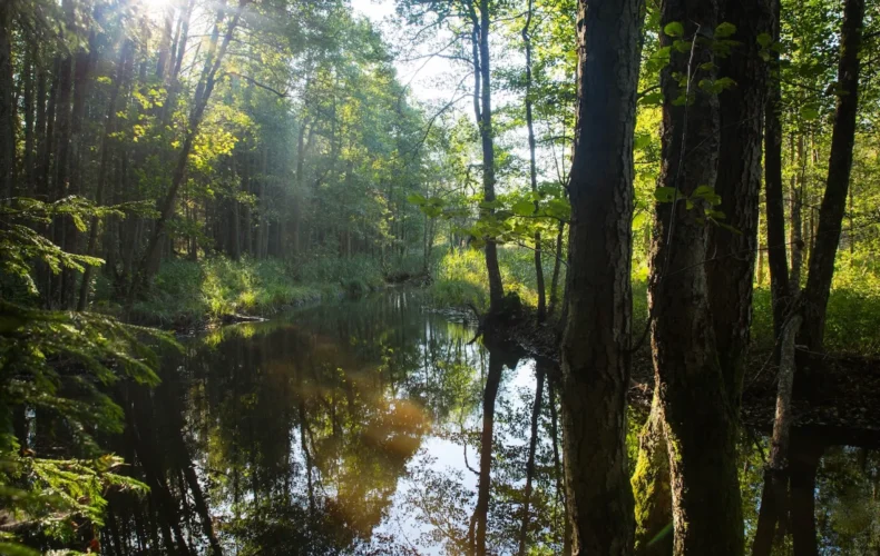 paukjerves-ezera-dabas-taka-un-telsu-vieta-003