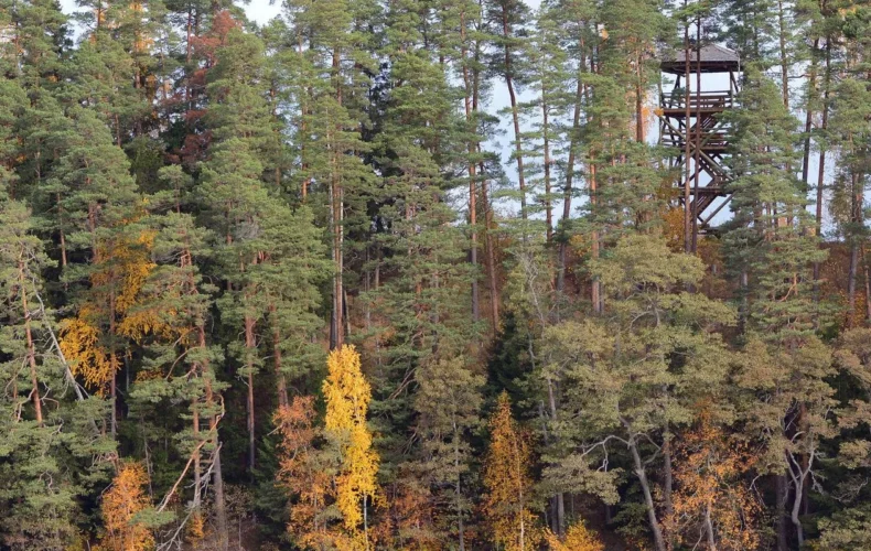 paukjerves-ezera-dabas-taka-un-telsu-vieta-004