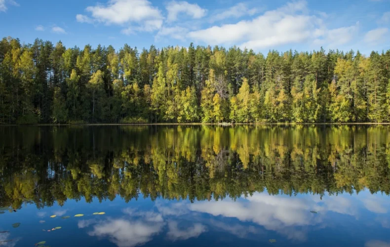 paukjerves-ezera-dabas-taka-un-telsu-vieta-005