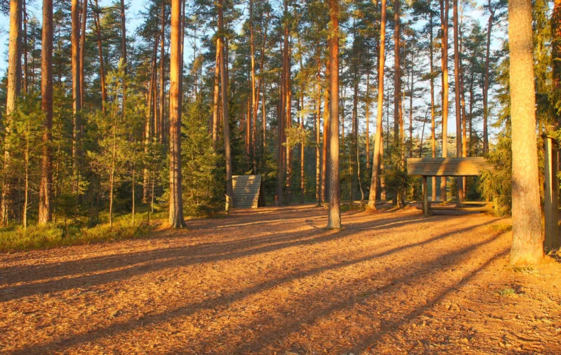 paukjerves-ezera-dabas-taka-un-telsu-vieta-006