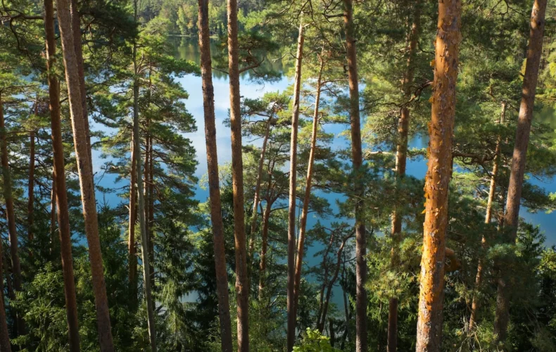 paukjerves-ezera-dabas-taka-un-telsu-vieta-008