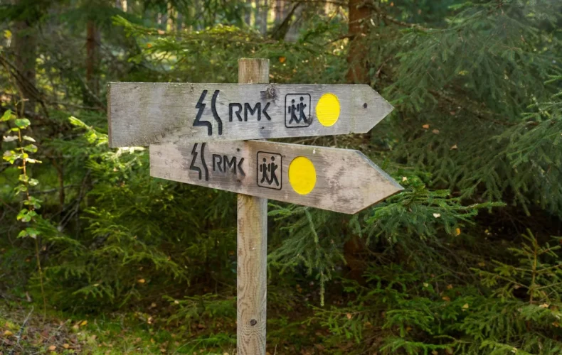 paukjerves-ezera-dabas-taka-un-telsu-vieta-009