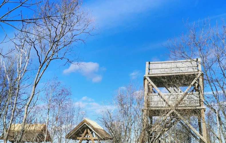 penijoe-putnu-verosanas-tornis-001