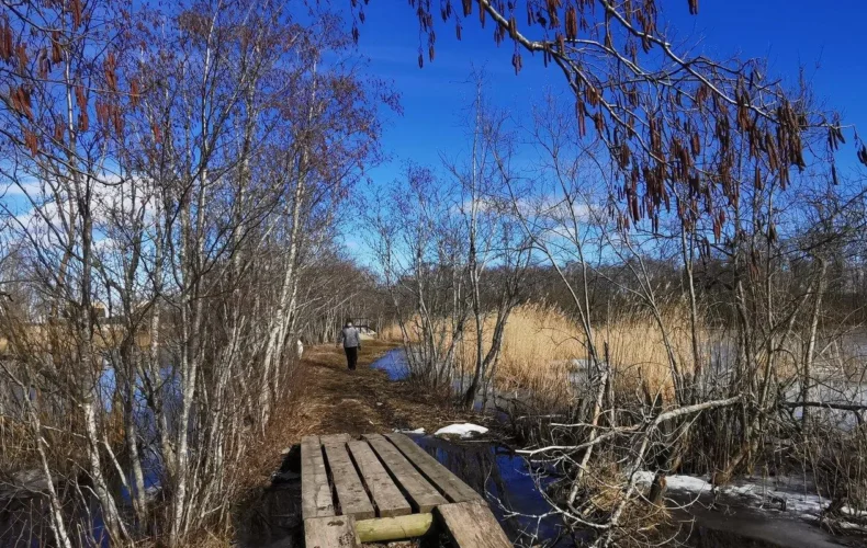 penijoe-putnu-verosanas-tornis-004