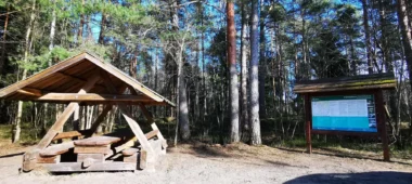 Tammiste meža taka un ugunskura vieta