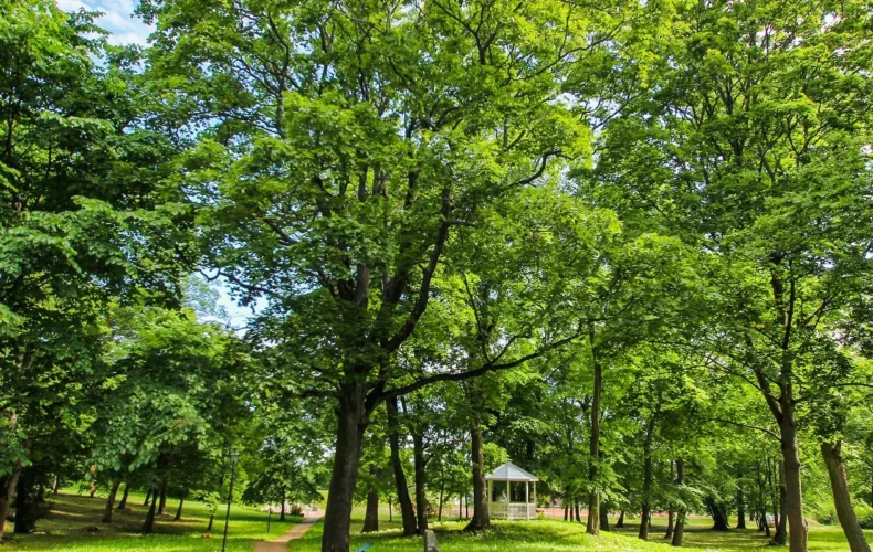 sakas-muizas-parks-un-iezu-ekspozicija-1-009