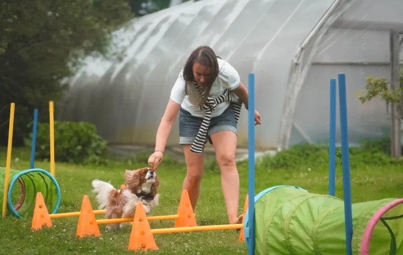 sunju-audzetava-lubana-vainglory-verde-005