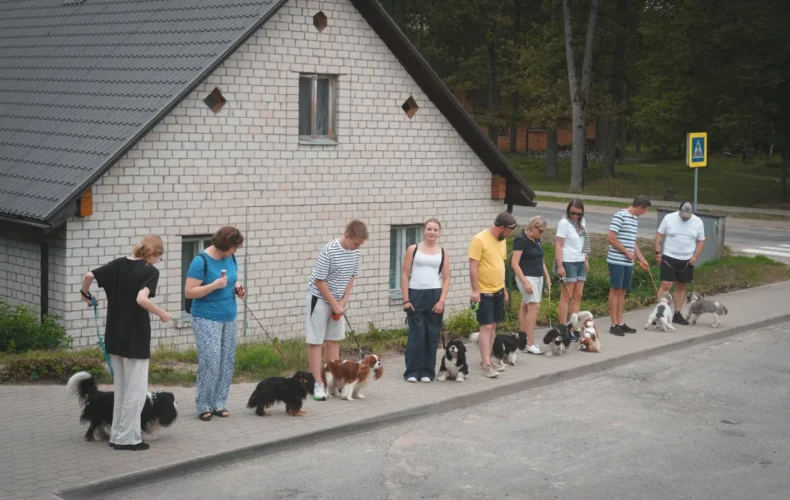 sunju-audzetava-lubana-vainglory-verde-006