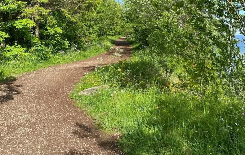 tabasalu-dabas-macibu-taka-002