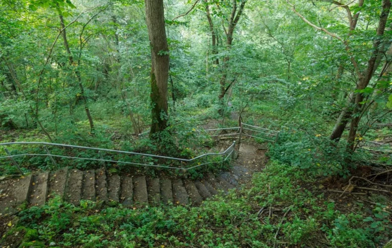 tabasalu-dabas-macibu-taka-005