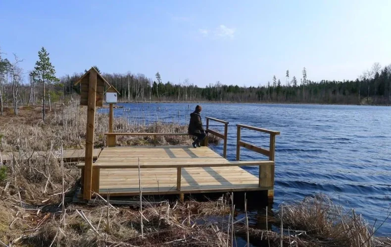 teringi-macibu-taka-001