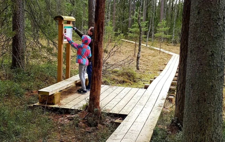 teringi-macibu-taka-005