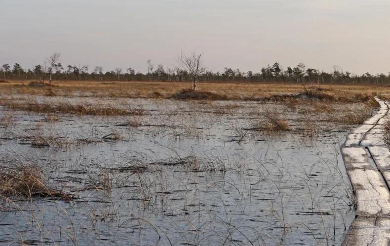 tuhu-purvs-un-pastaigu-taka-004