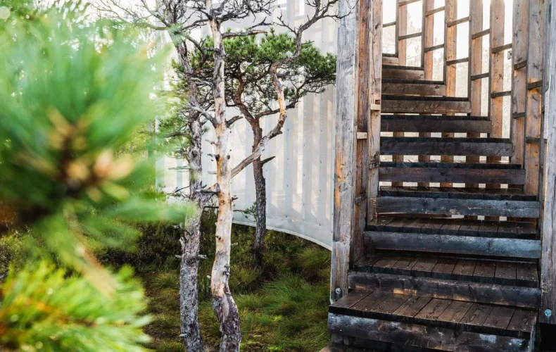 tuhu-purvs-un-pastaigu-taka-005